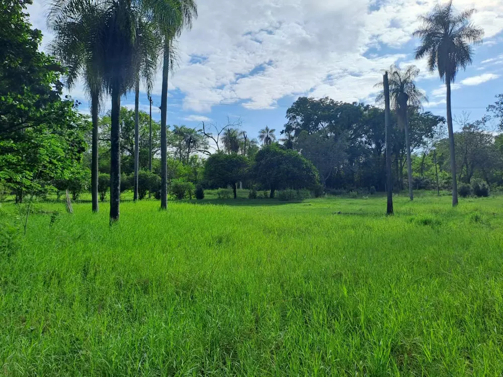 Nueva Colombia, 1 Hektar, 650 Millionen Gs, Aldino Heppner, Paraguay