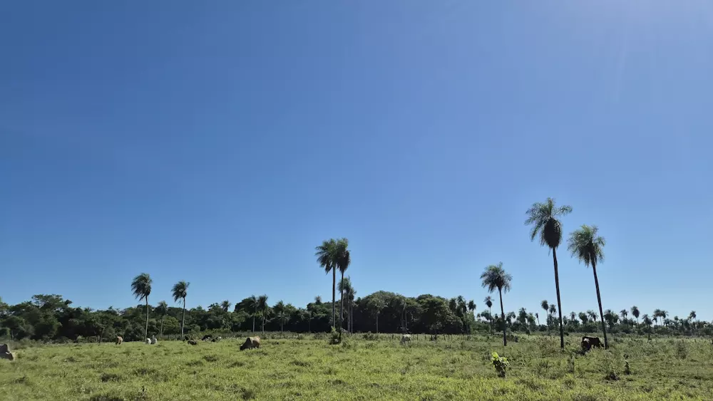 Grundstück in Paraguay, Aldino Heppner, Altos