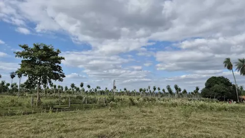 Grundstück in Altos, Paraguay, Aldino Heppner