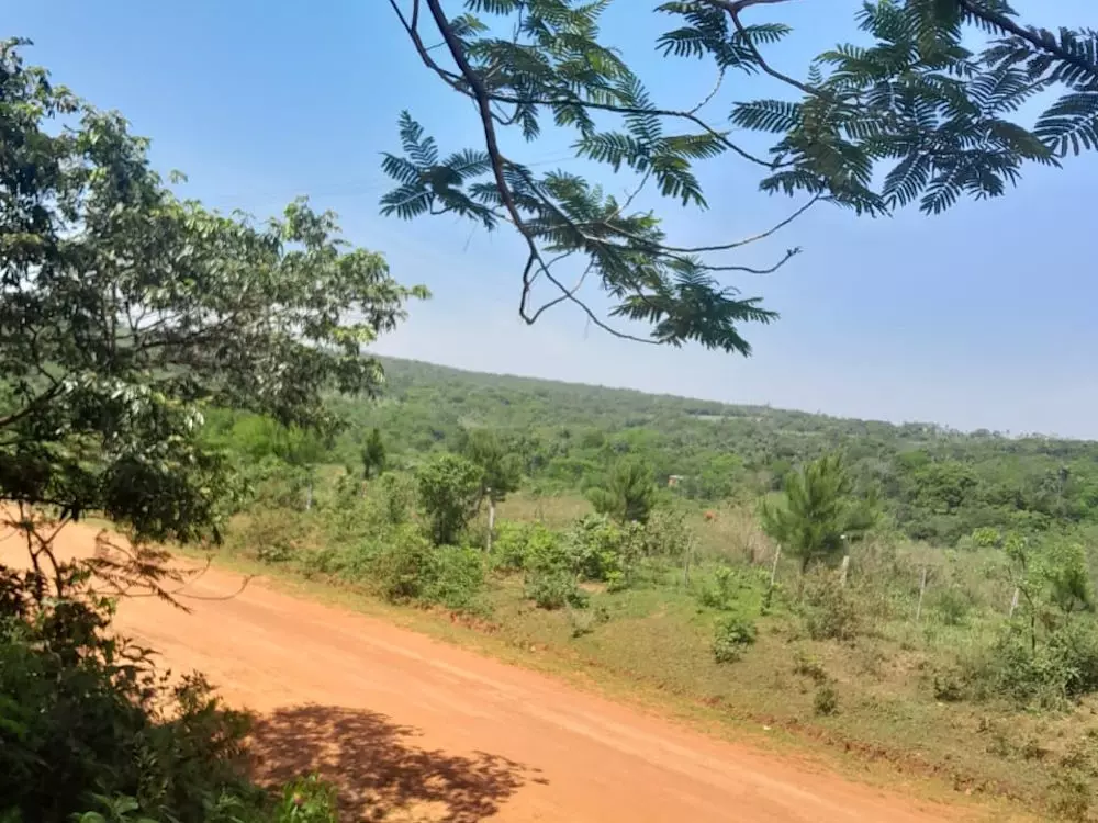 Nueva Colombia, 1 Hektar, 250 Millionen Gs, Aldino Heppner, Paraguay